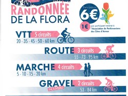 Illustration de la galerie