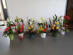 Illustration de la galerie