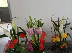 Illustration de la galerie