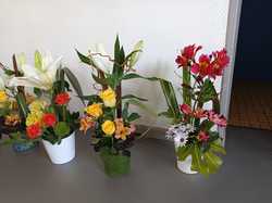 Illustration de la galerie