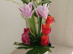 Illustration de la galerie